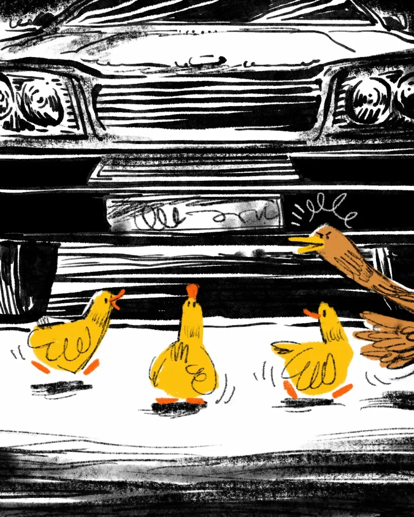 mama goose and three yellow ducklings crossing in front of a black car digital illustration by fabio rodaro