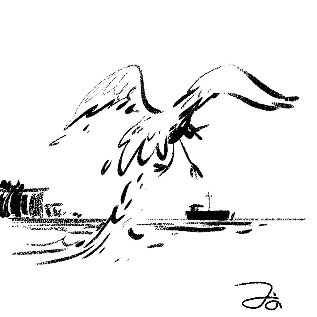 charcoal seagull taking off in seaside with boat illustration by fabio rodaro