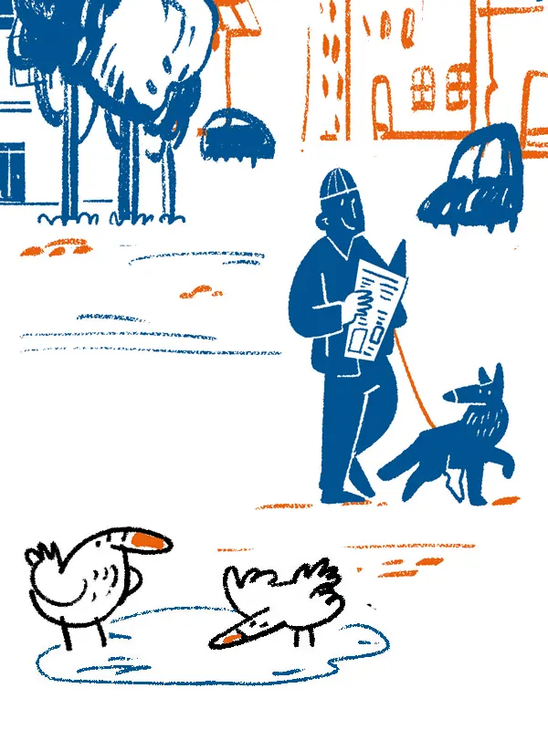 Navy blue llustration of a man reading a newspaper while walking his dog. Funny birds in a puddle